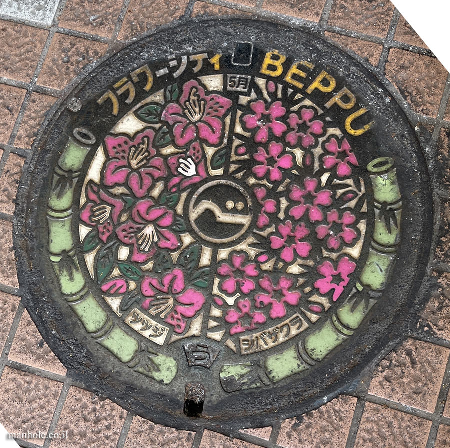 Beppu - Drainage - Flower City Caps Series - Azalea and Moss phlox