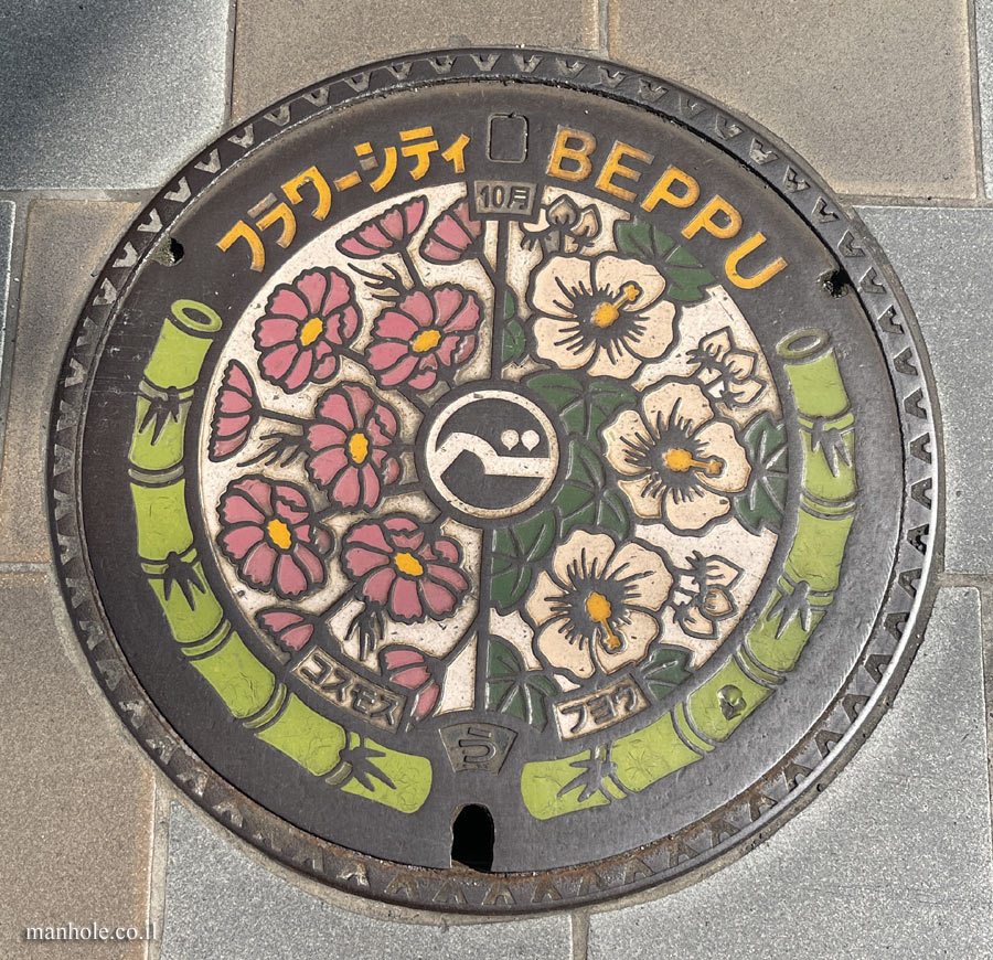 Beppu - Drainage - Flower City Caps Series - Cosmos and Confederate rose
