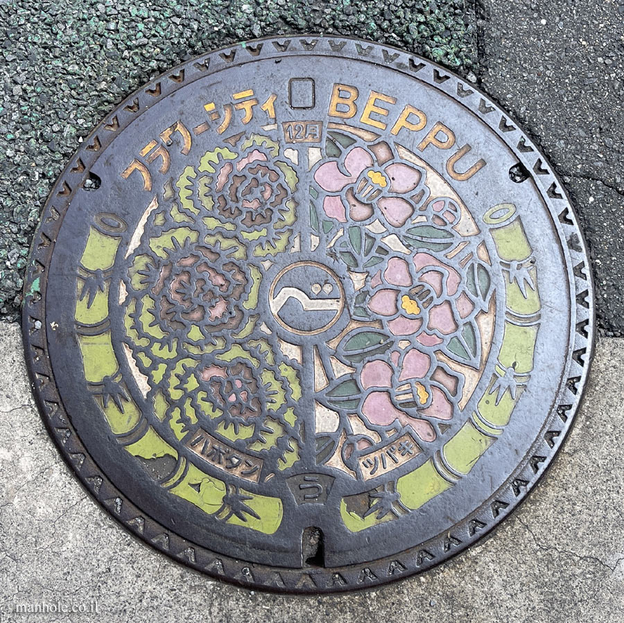 Beppu - Drainage - Flower City Caps Series - Habotan (Kale) and camellia