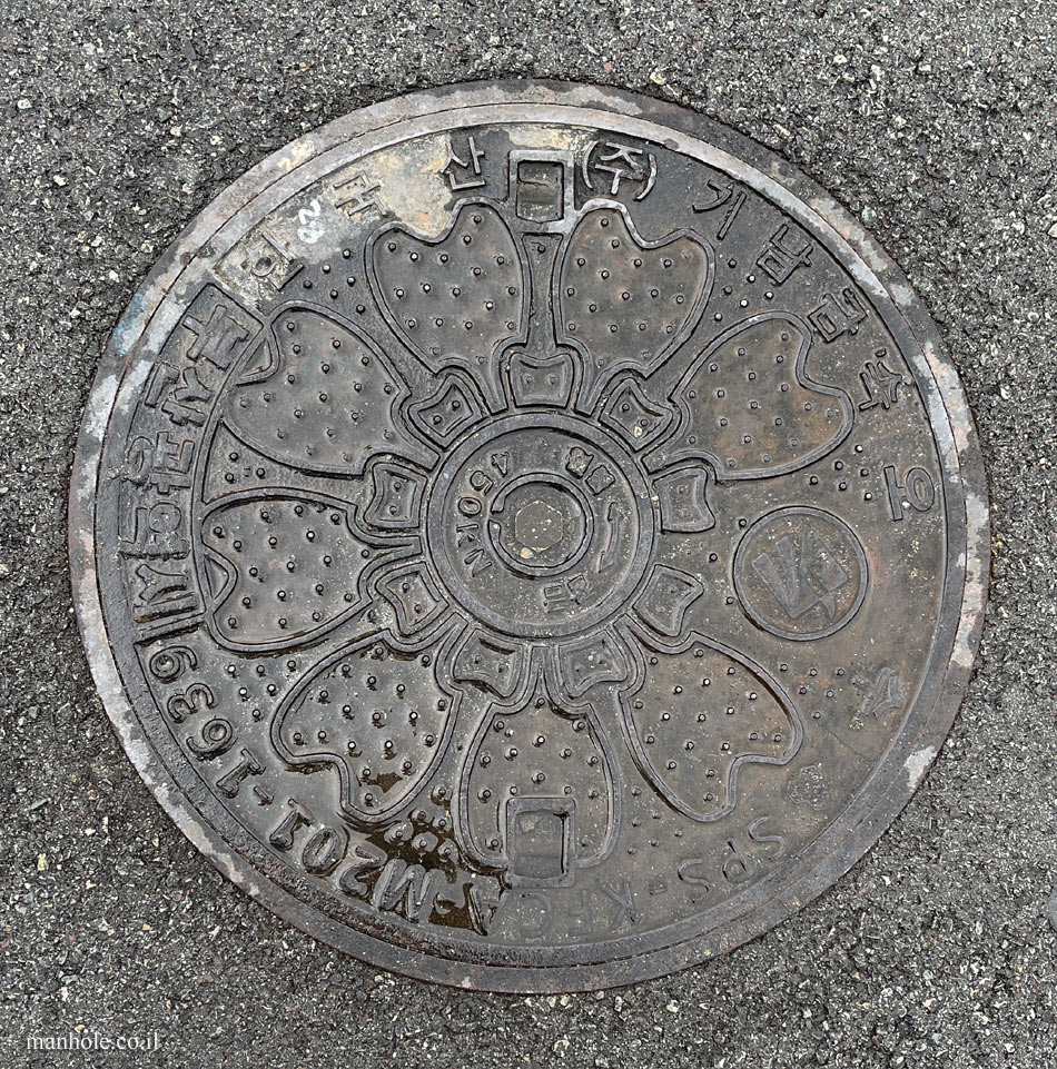 Busan - manhole cover with a background in the form of a flower
