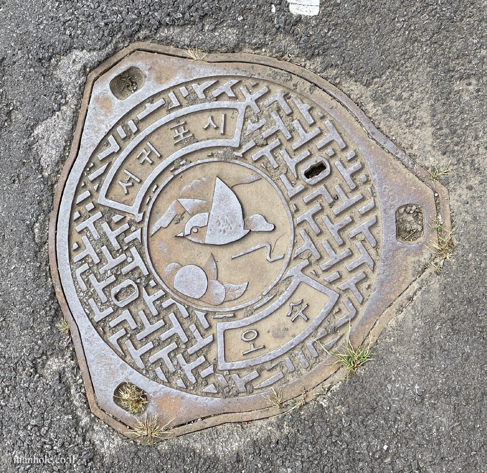 Seogwipo- Sewer - a cover with a special shape with an illustration of a bird in the center