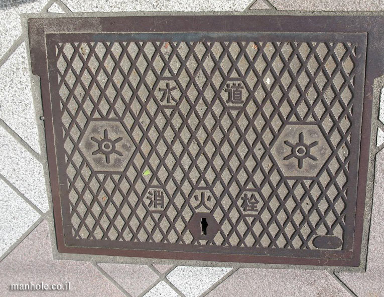 Tokyo - fire hydrant - rain water