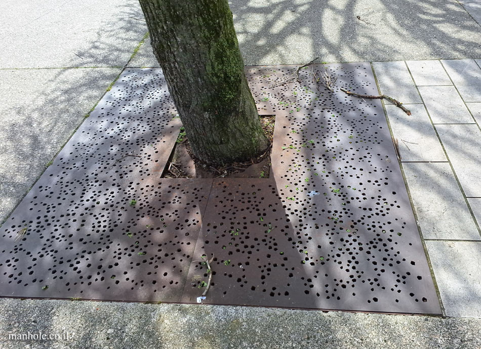 Blois - a tree grate with many holes