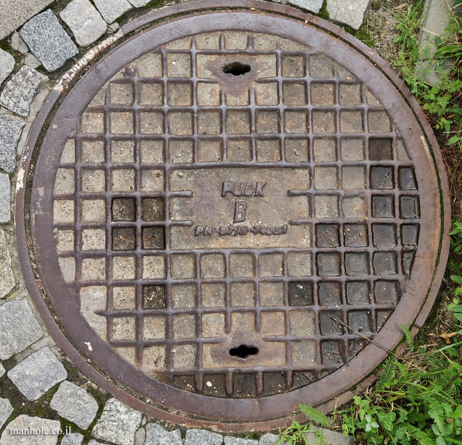 Warsaw - Cover with the text PUCK on it