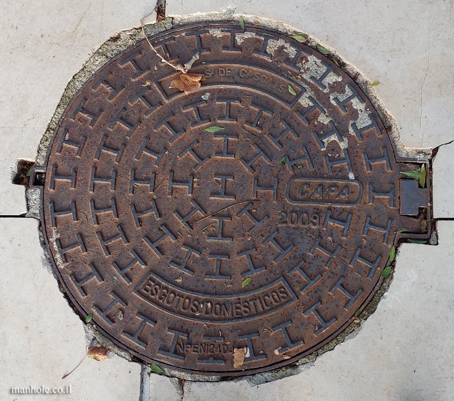 Cascais - Local sewage - 2009