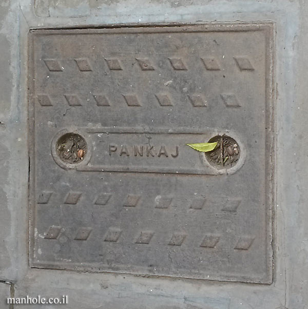 PANKAJ Jaipur