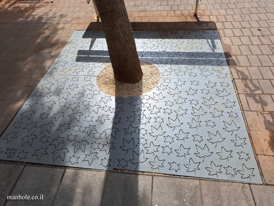 Tel Aviv - A tree grate with a background of leaves