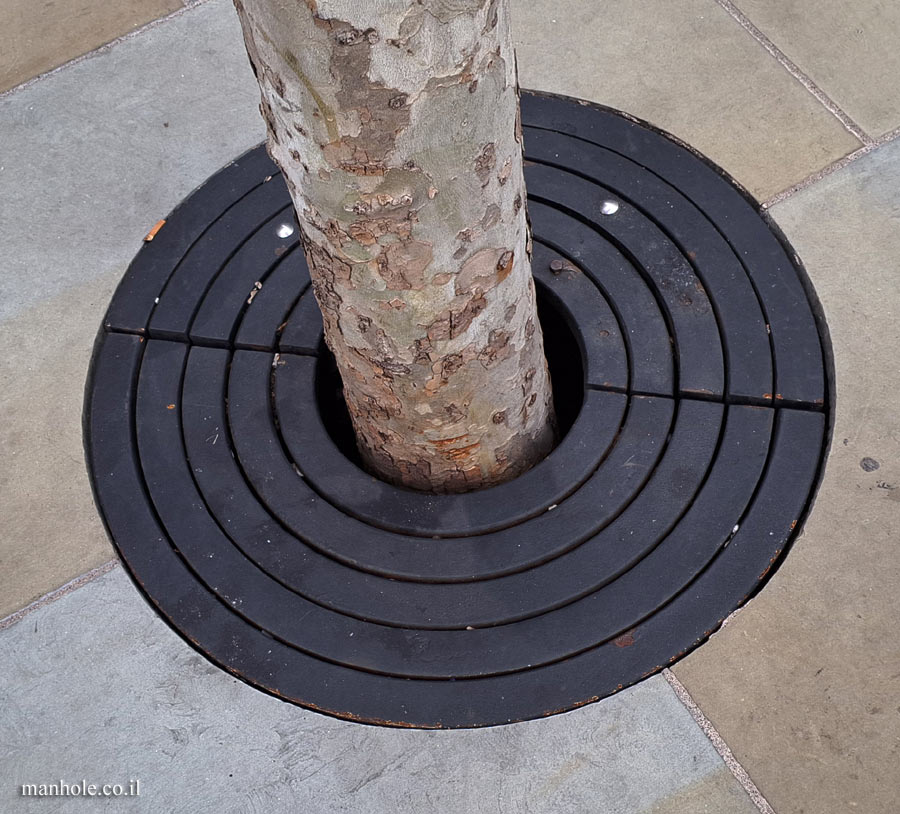 London - A Tree grate made up of 5 rings