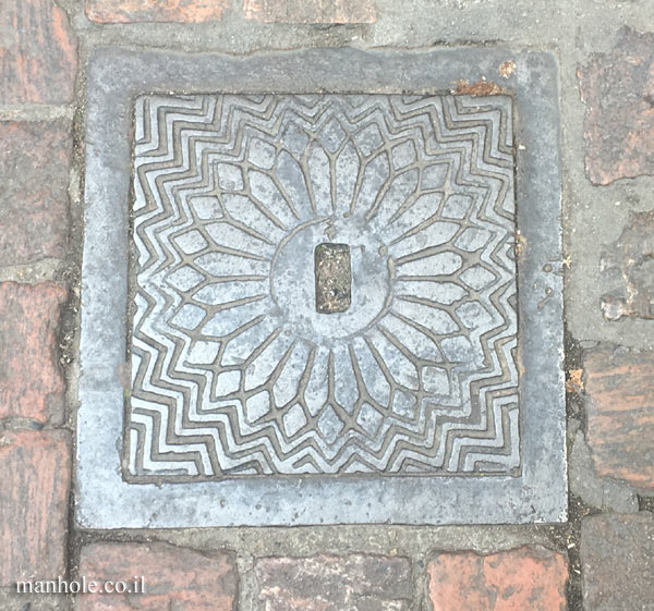 Toulouse - Square cover with floral background