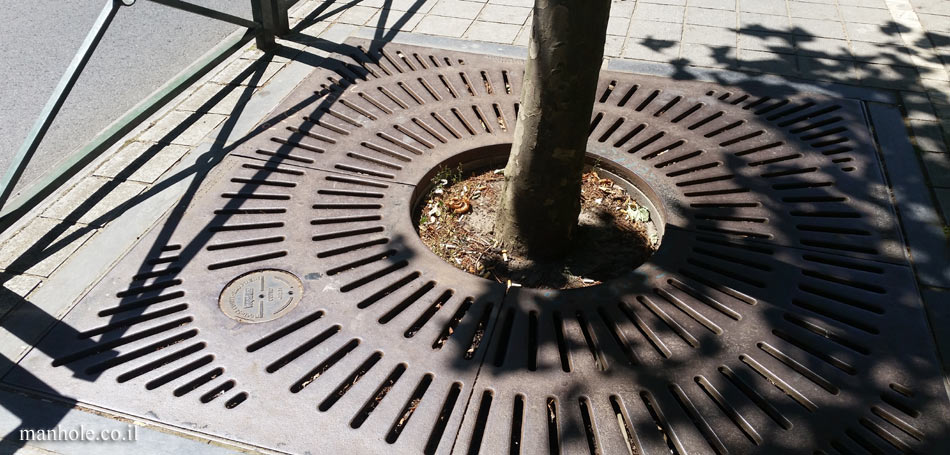 Uccle - Tree grate