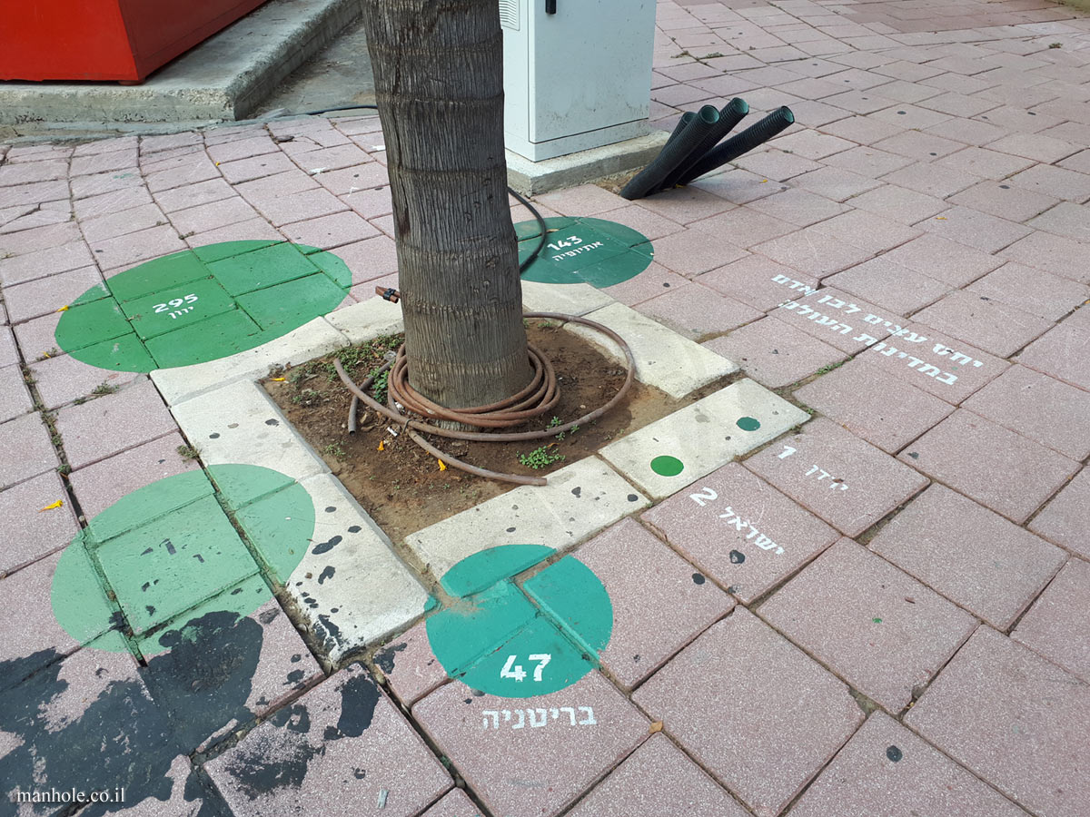 Ramat Gan - Information on the ratio of the number of trees to people in the world