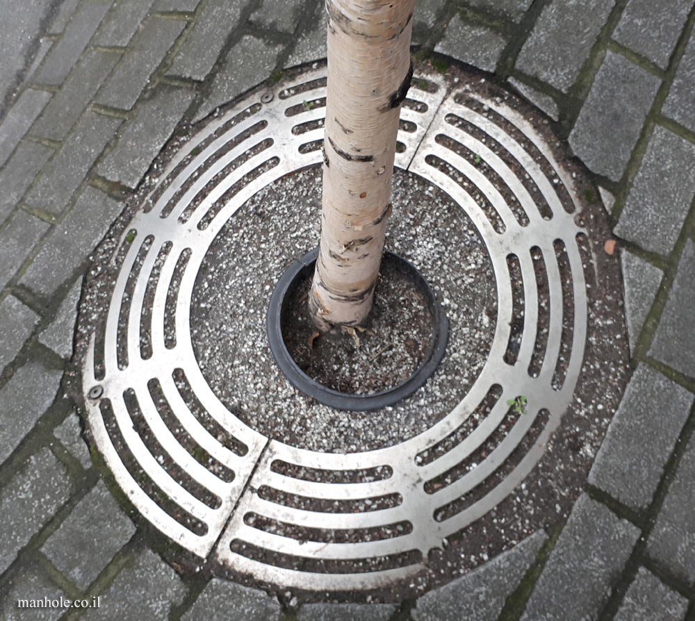 London - a round tree grate