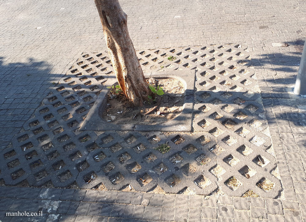 The port of Tel Aviv - a wide concrete tree grate