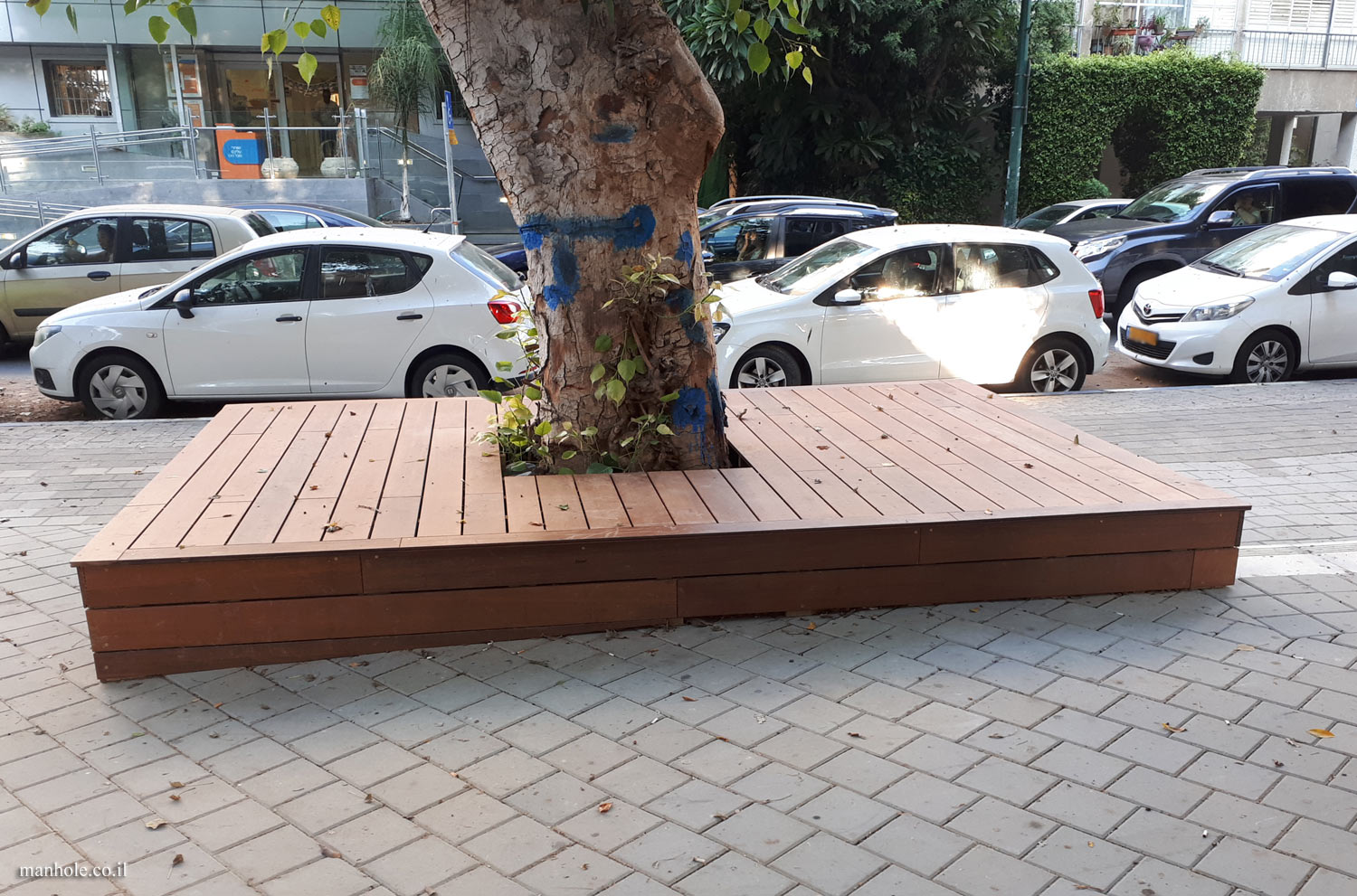 Tel Aviv - A Tree grate that is raised and made of wood