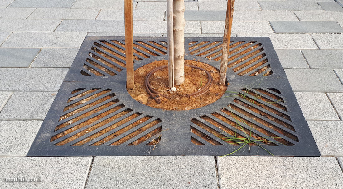 el Aviv - A square metal tree grate with a circle in its center