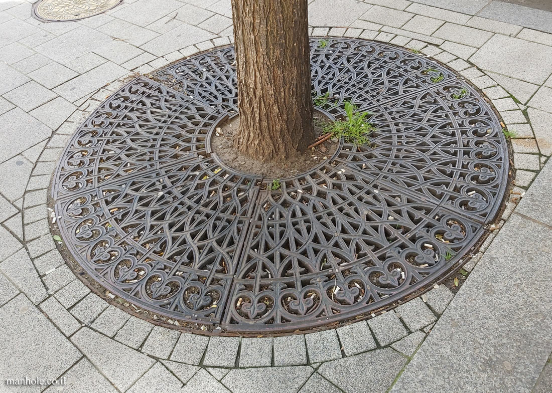 Budapest - Tree grate with decorations and engravings