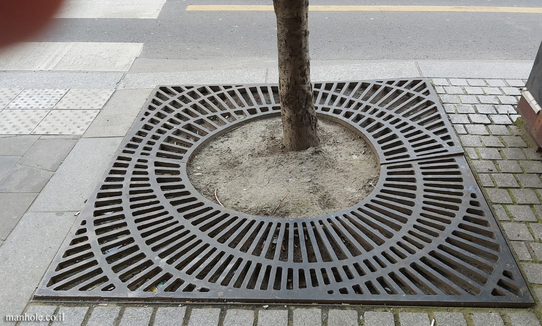 Budapest - Tree grate with asymmetric circles