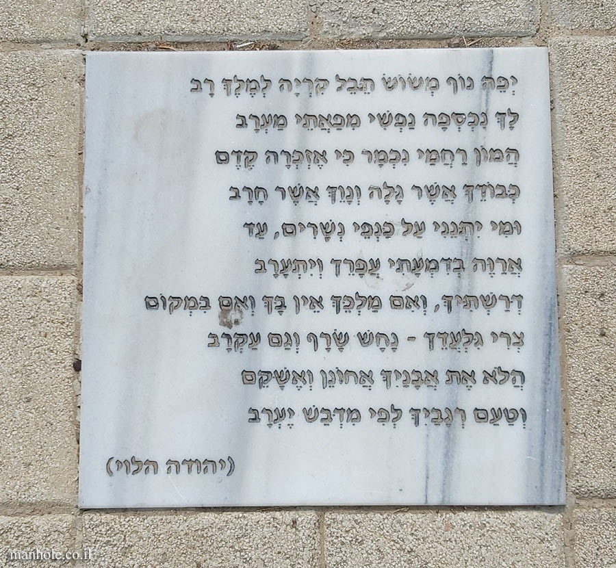 Tel Aviv University - Antin Square tiles - Yefe Nof (Yehuda Halevy)
