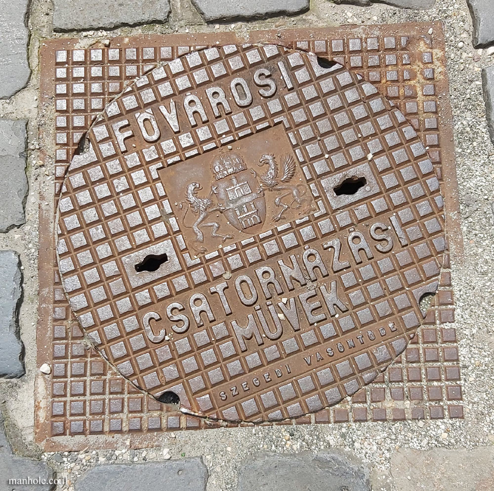 Budapest - Sewage Department (4)