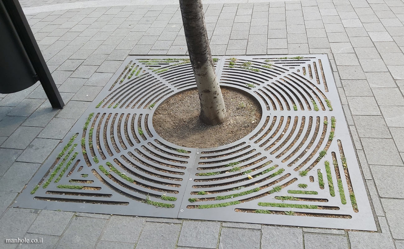 Budapest - A Tree grate with circles in a square frame