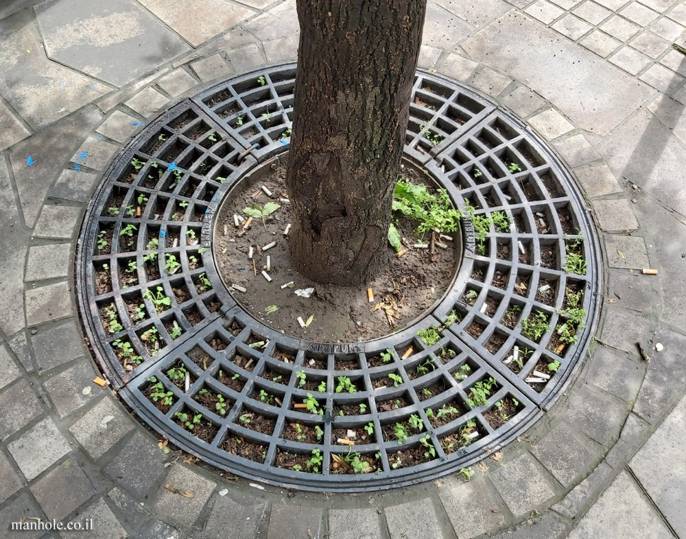 Budapest - A Tree grate - a network of circles