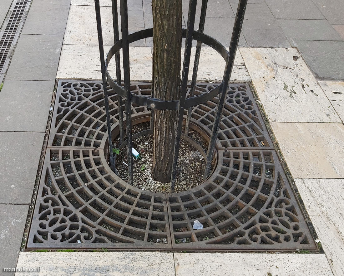 Budapest - A Tree grate with a network of circles in a square frame
