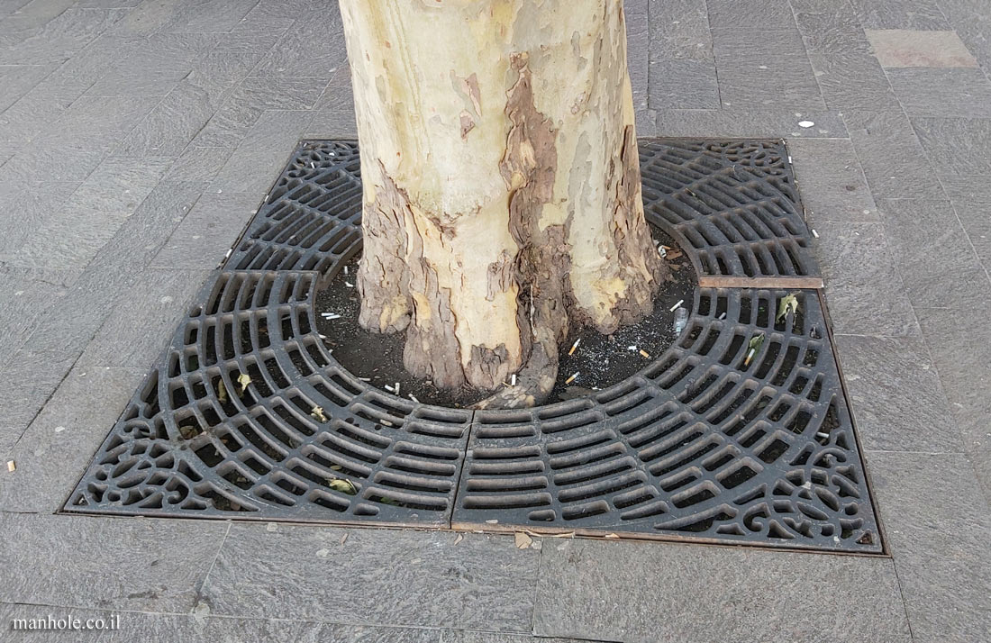 Budapest - A Tree grate with a network of circles in a square frame (2)