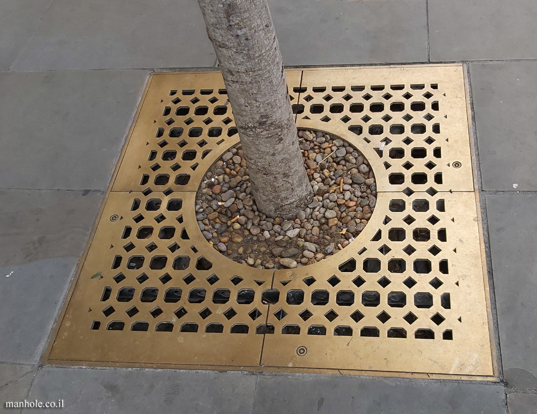 London - Gilded Tree grate