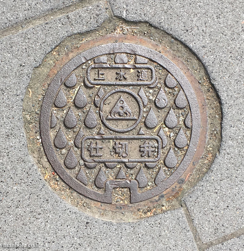Sapporo - Gate valve