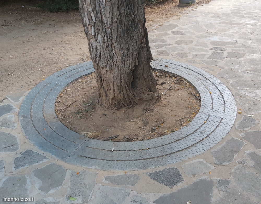 Tel Aviv - A Tree grate made up of 3 rings