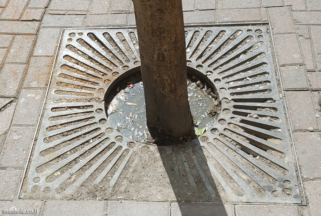 London - A tree grate with an inner circle that includes circles and rays coming out of it