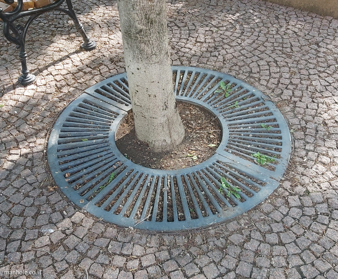 Budapest - A Tree grate in the form of rays