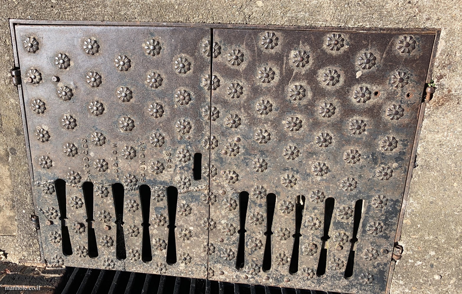 Ludlow - Drain cover with two opening doors and a background of flowers