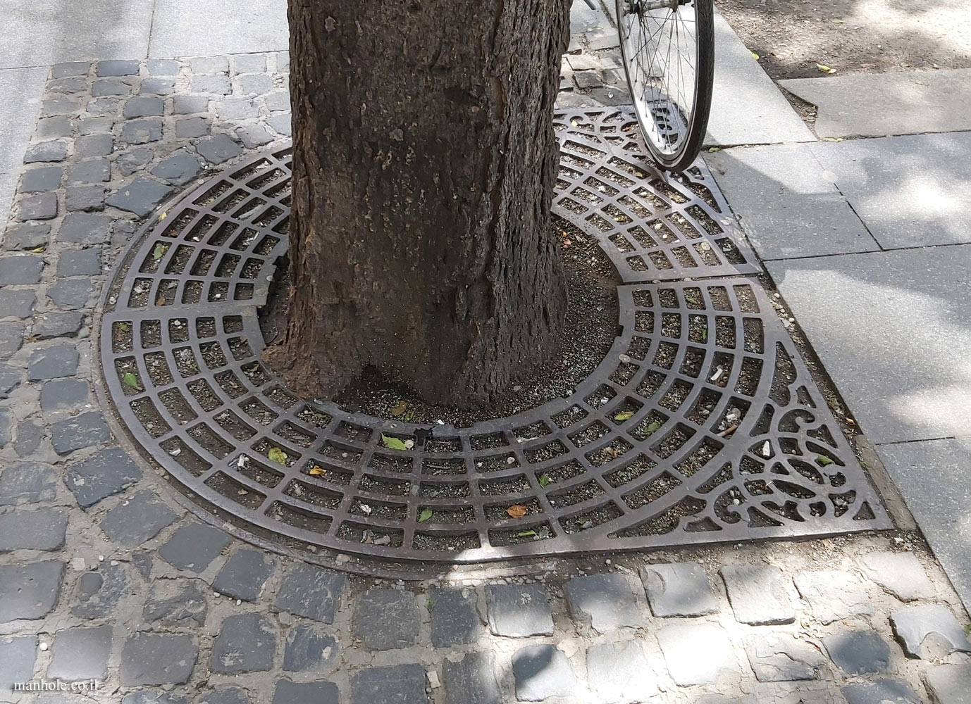 Budapest - A Tree grate with a network of circles half of which is surrounded by a square frame
