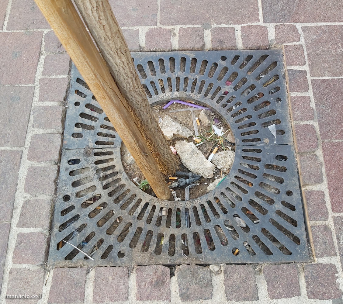 Chania - A Tree grate