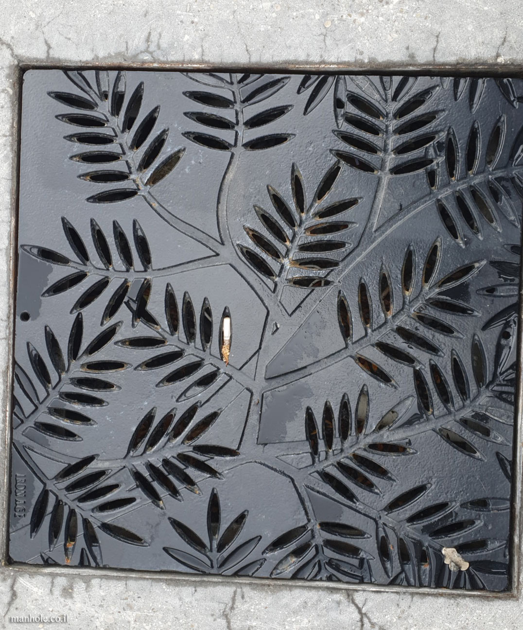 Ottawa - Drain cover with grooves in the shape of tree leaves