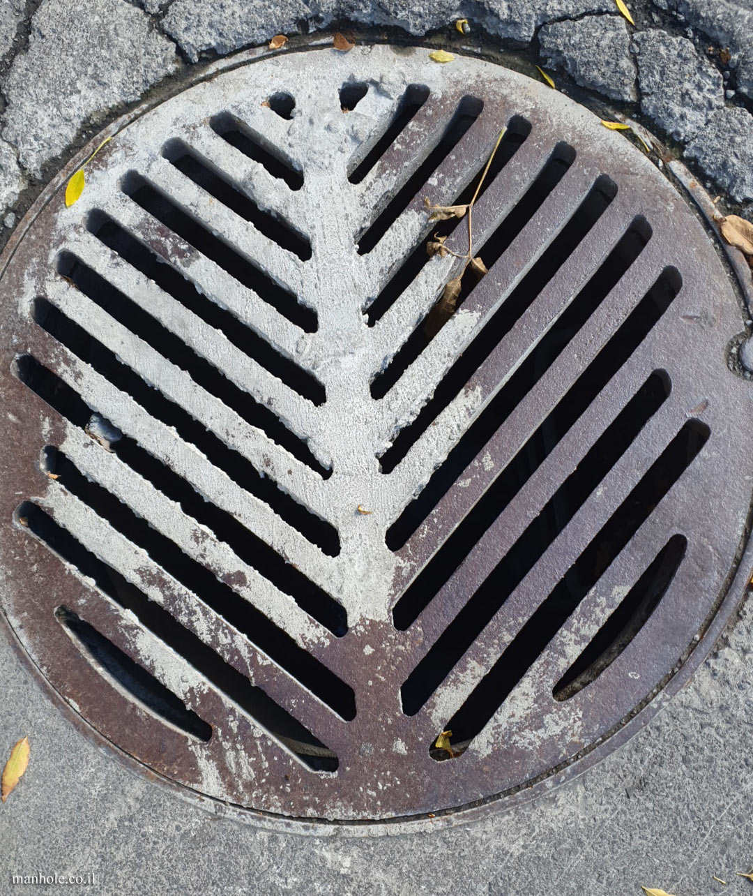 Montreal - Drain cover with grooves similar to tree branches