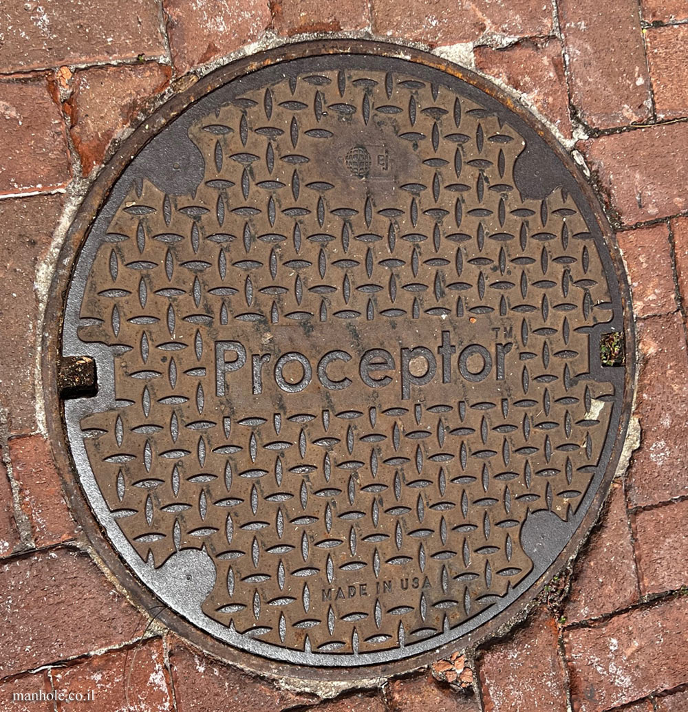 Palm Beach - Proceptor lid