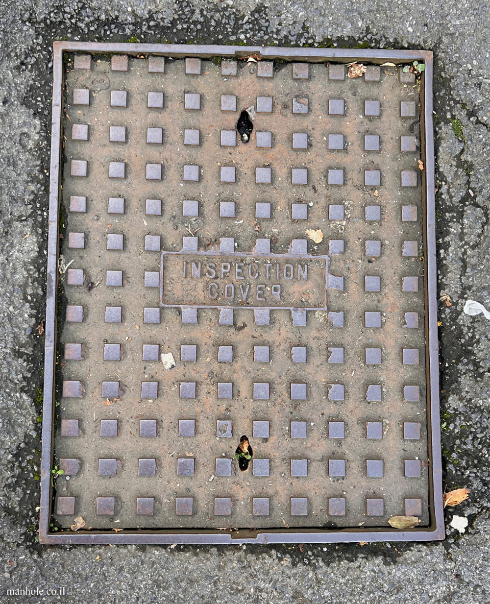 Durham - Inspection Cover