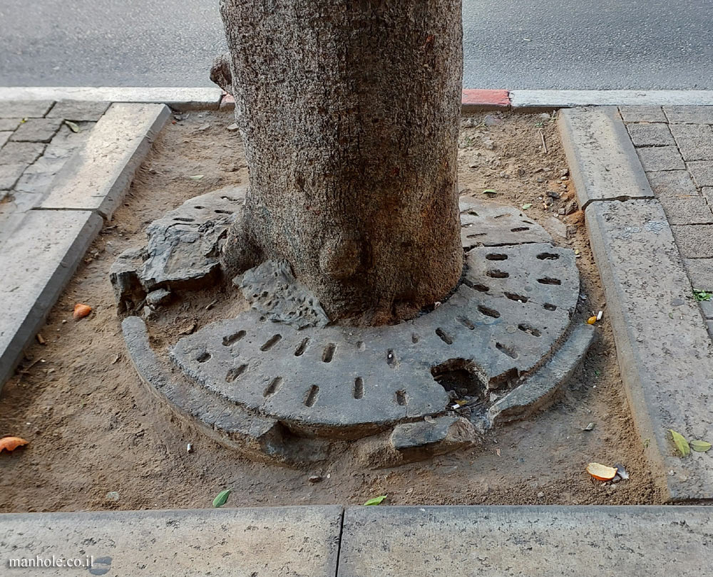 Tel Aviv - Round concrete Tree grate