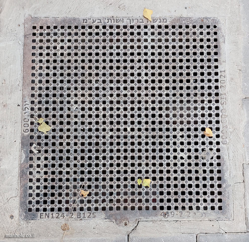 Tel Aviv - Drain cover with tiny nozzles