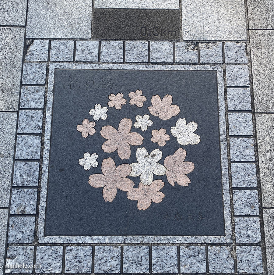 Tokyo-The garden of the Imperial Palace-Prefecture Flower Route of Japan- Circle of Flowers (2)