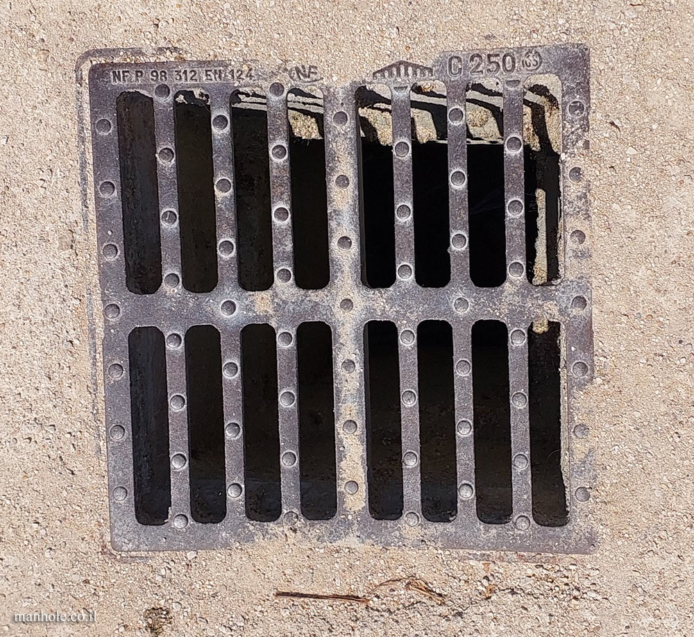 Paris - drain cover with prominent circles between the drain slots