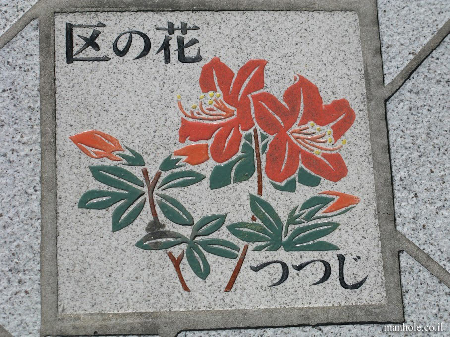 Tokyo - Azalea Flower 