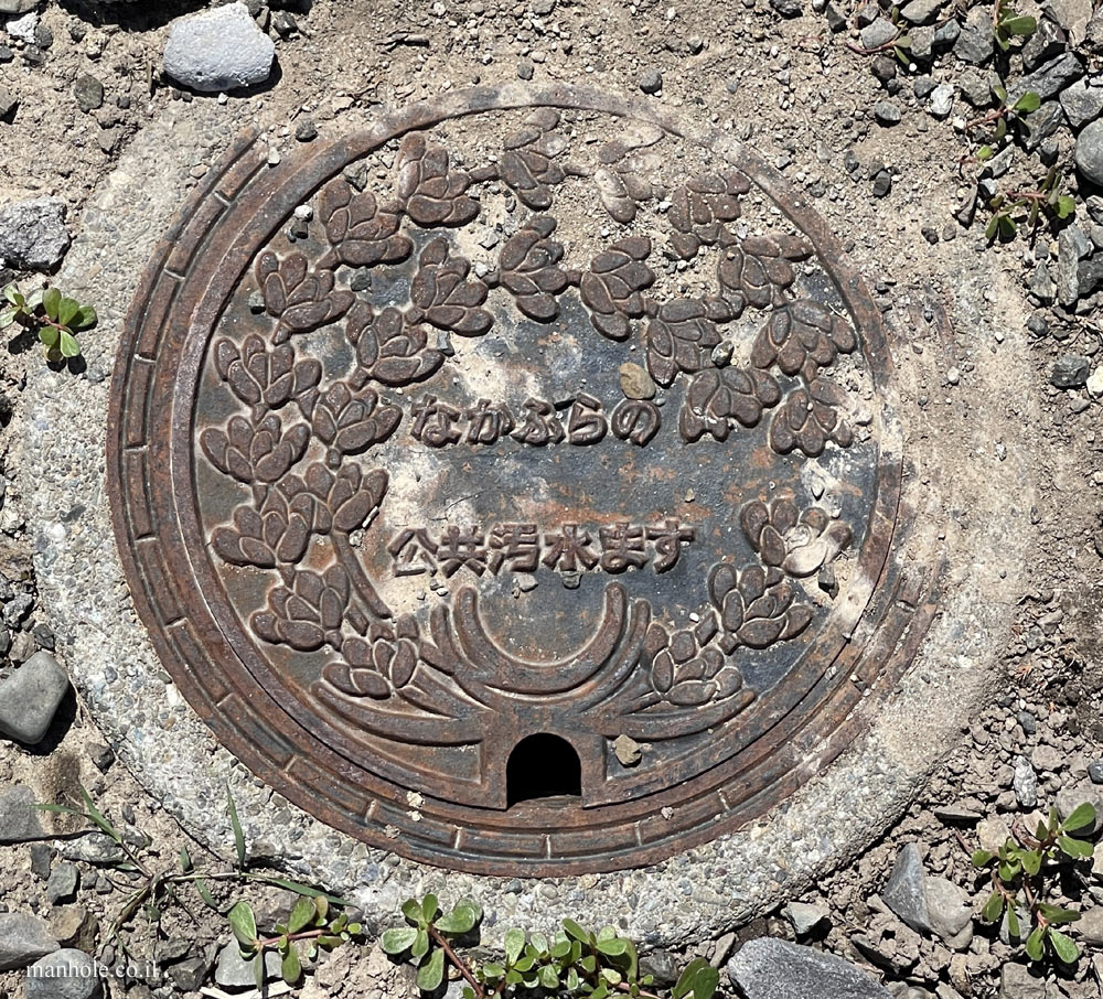 Nakafurano - Public sewage