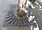 3592.93 Km United Kingdom